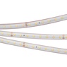 Лента светодиодная RTW 2-5000PS-50m 24V Warm3000 (2835, 80 LED/m, LUX) (Arlight, 6 Вт/м, IP67)