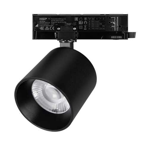 Светильник LGD-DYKE-4TR-R100-36W Day4000 (BK, 38 deg, 230V, DALI) (Arlight, IP20 Металл, 5 лет)