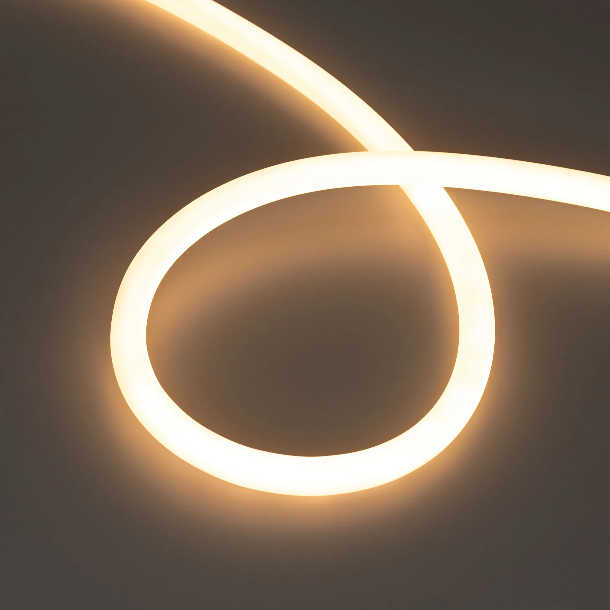 Лента светодиодная герметичная MOONLIGHT-TOP-M560-D13mm 24V Warm2700 360deg (8.6 W/m, IP65, 5m, wire x1) (Arlight, Вывод прямой, 3 года) - изображение товара